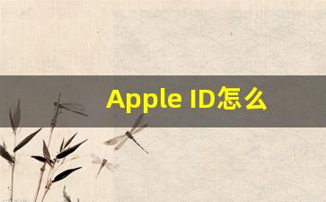 Apple ID怎么填写_苹果注册ID电子邮件地址怎么填